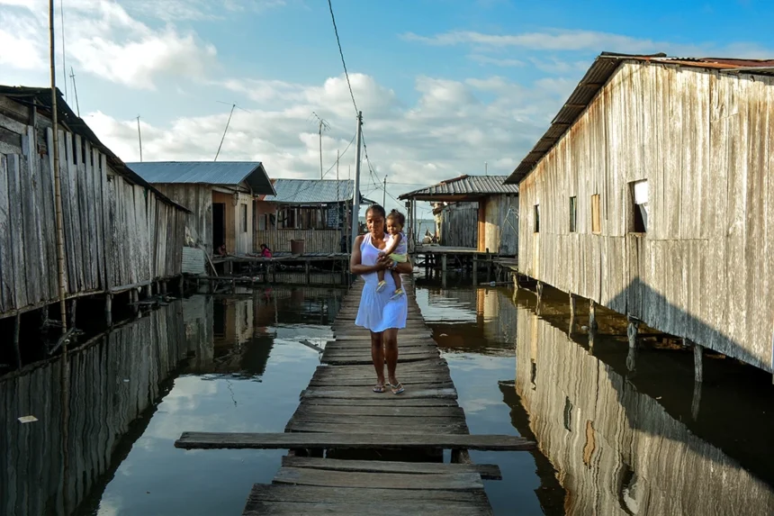 Palma real: La marea y lo que el Estado no ve.